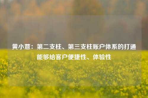 黄小薏：第二支柱、第三支柱账户体系的打通能够给客户便捷性、体验性