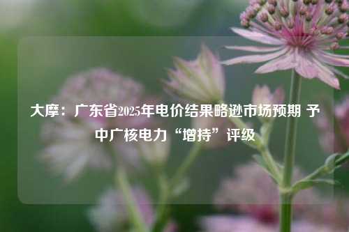 大摩：广东省2025年电价结果略逊市场预期 予中广核电力“增持”评级