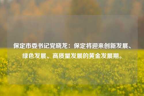 保定市委书记党晓龙：保定将迎来创新发展、绿色发展、高质量发展的黄金发展期。