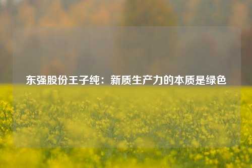 东强股份王子纯：新质生产力的本质是绿色