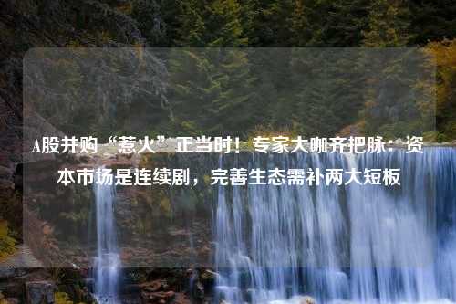 A股并购“惹火”正当时！专家大咖齐把脉：资本市场是连续剧，完善生态需补两大短板