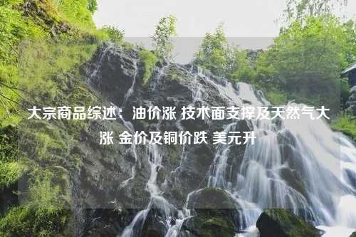 大宗商品综述：油价涨 技术面支撑及天然气大涨 金价及铜价跌 美元升