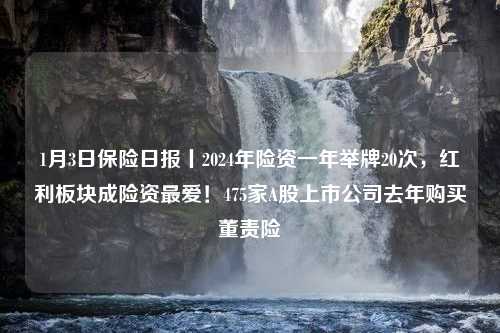 1月3日保险日报丨2024年险资一年举牌20次，红利板块成险资最爱！475家A股上市公司去年购买董责险