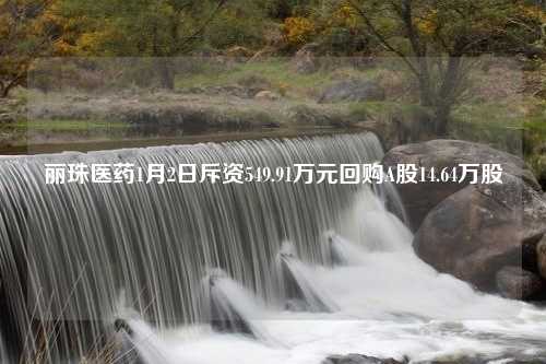 丽珠医药1月2日斥资549.91万元回购A股14.64万股