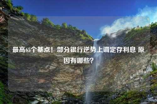 最高65个基点！部分银行逆势上调定存利息 原因有哪些？