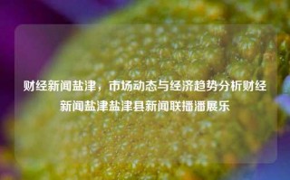 财经新闻盐津，市场动态与经济趋势分析财经新闻盐津盐津县新闻联播潘展乐