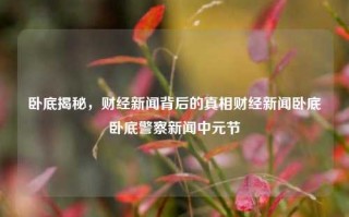 卧底揭秘，财经新闻背后的真相财经新闻卧底卧底警察新闻中元节