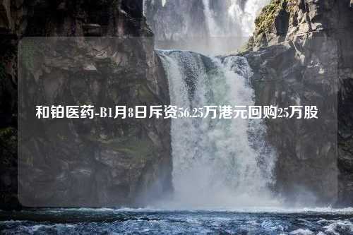 和铂医药-B1月8日斥资56.25万港元回购25万股